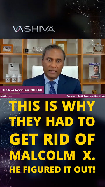 This is Why They Had To Get Rid Of Malcolm X. He Had Figured It Out!