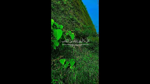 Quran Al Kareem @quran