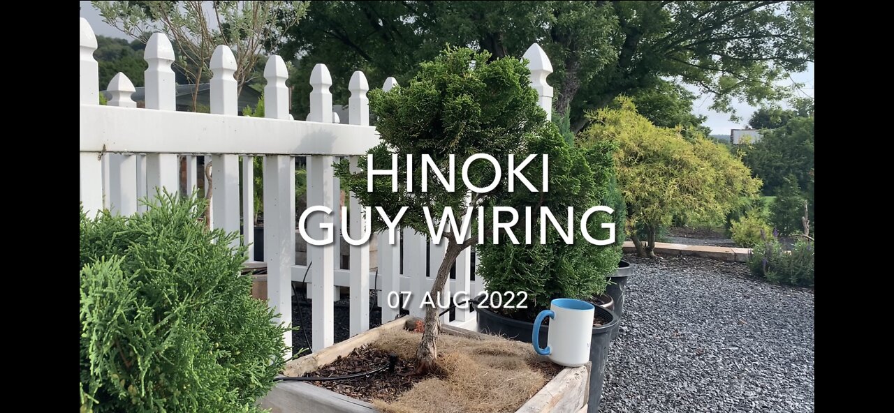 Hinoki Guy Wiring