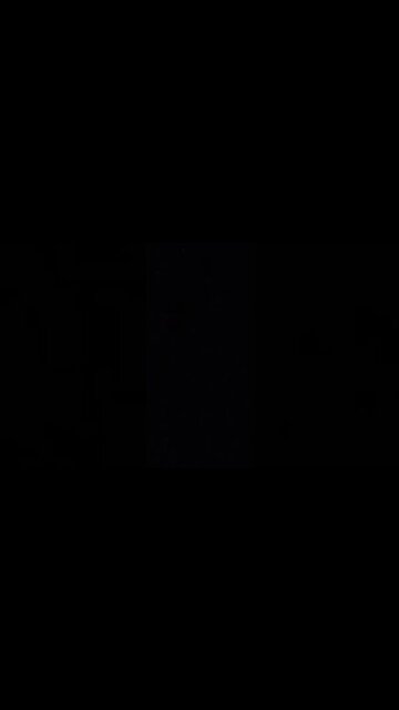 #dogshow , #animals , #dog , #shorts