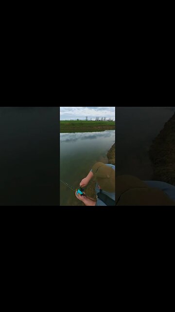 When the Fish are Messing With You...