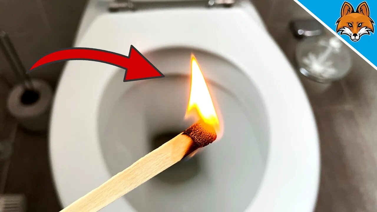 🦊 THIS is why you should Light a MATCH on the TOILET 🔥