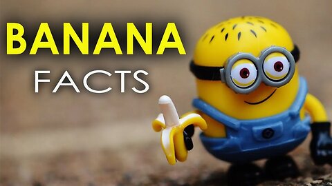 FACTS ABOUT BANANAS AND THEIR HEALTH BENEFITS YOU NEED TO KNOW - HD | HEALTHY FRUITS