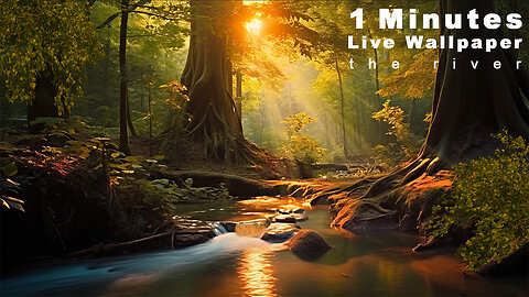 1 Minutes Live Wallpaper | the river