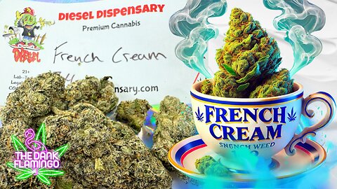 Trying French Cream THCa from Diesel Dispensary! The Dank Flamingo Cannabis Review!!