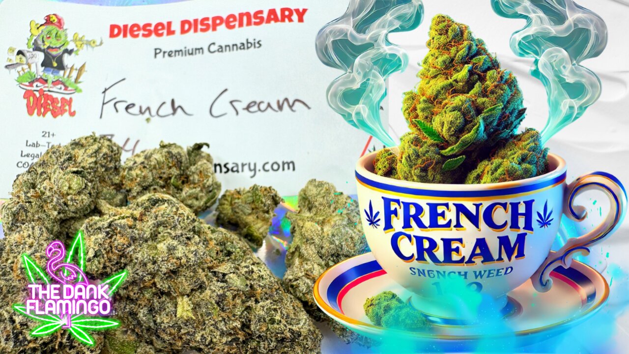 Trying French Cream THCa from Diesel Dispensary! The Dank Flamingo Cannabis Review!!