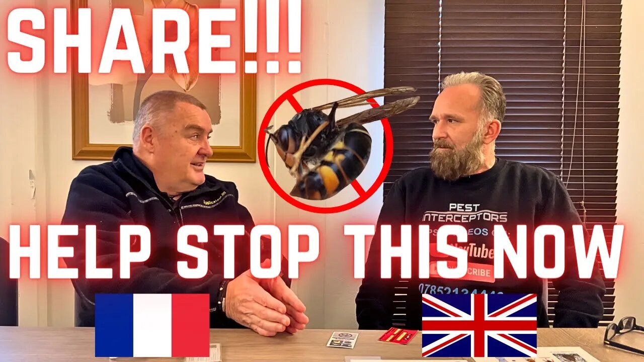 STOP Asian Hornets getting to the UK!!! ASIAN HORNET France and Jersey got it WRONG!!!