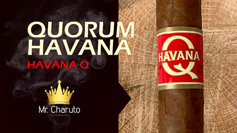 Mr. Charuto - Quorum Havana Q