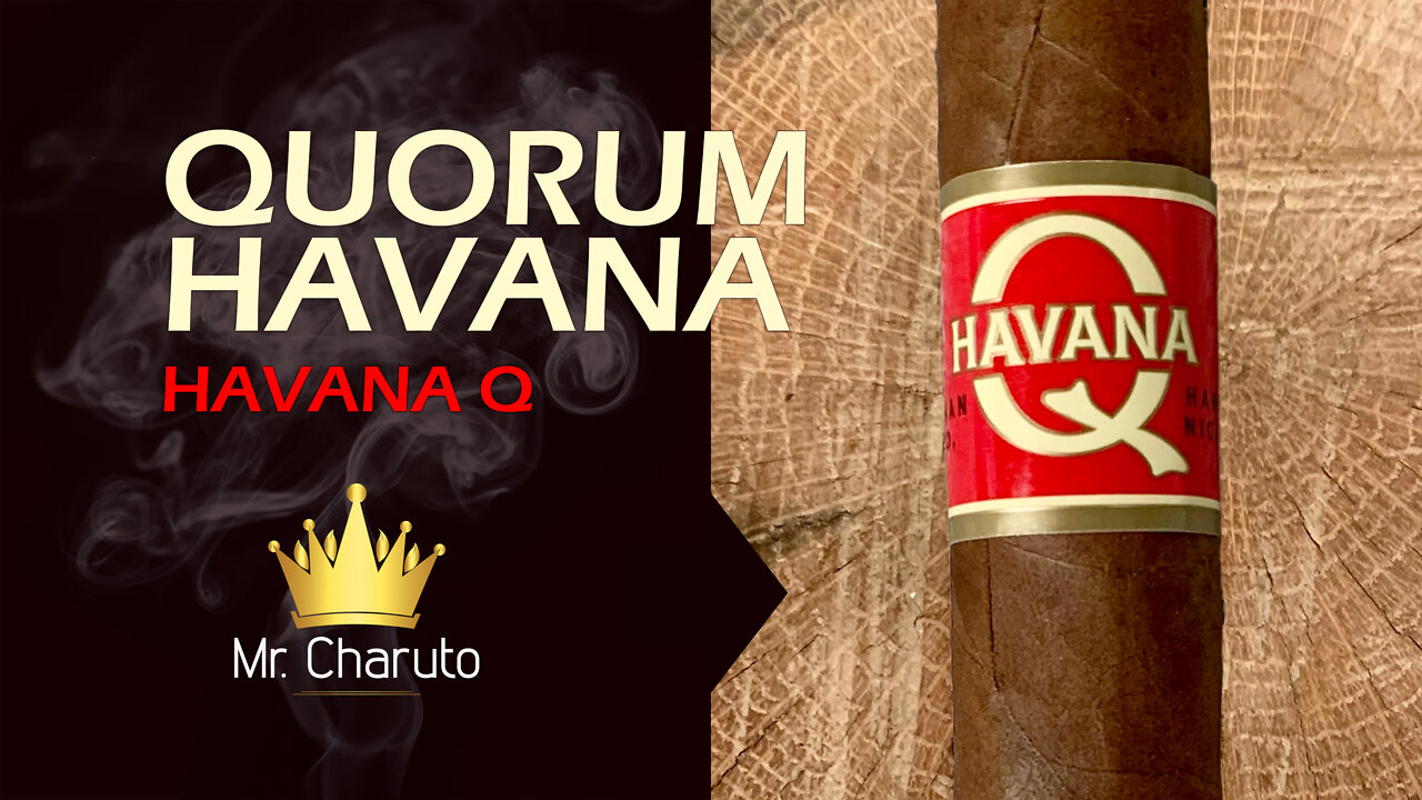 Mr. Charuto - Quorum Havana Q