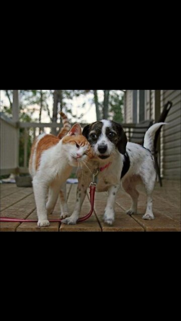 Why is he so obsessed with me?!