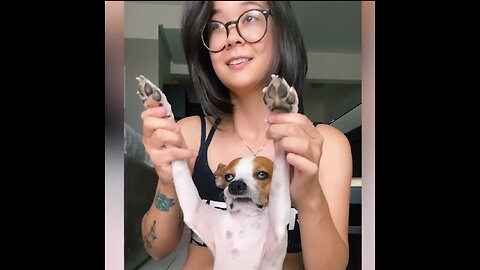 Funny animals video 😹🐎🦮🐶🙊 #funny #animal