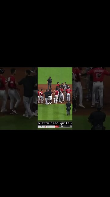 🇩🇴 Dominican Don’t Play Play