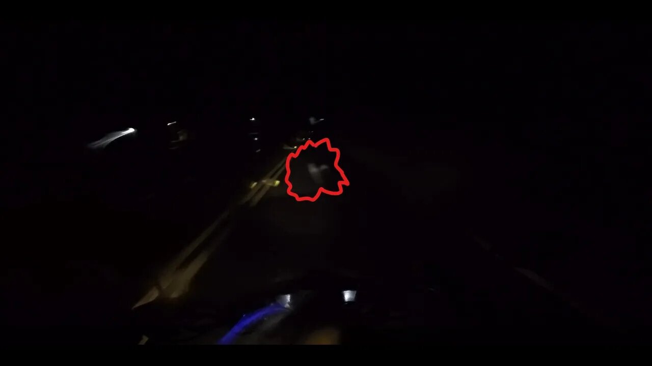 Biker Almost Hits Armadillo on Rainy Night!