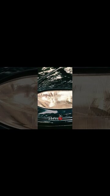 É de menina! Lindo Palio G1 #equipepalio_g1 #epg1 #paliog1