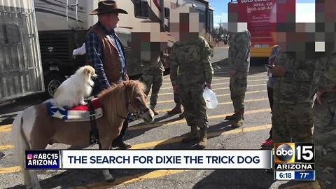 Trick dog named Dixie missing in Phoenix