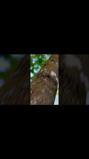 Fall is here @vancityadventure