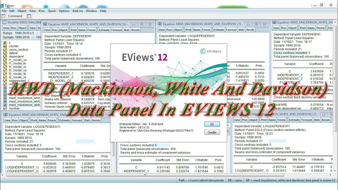 MWD (Mackinnon, White And Davidson) Test Data Panel In EVIEWS 12