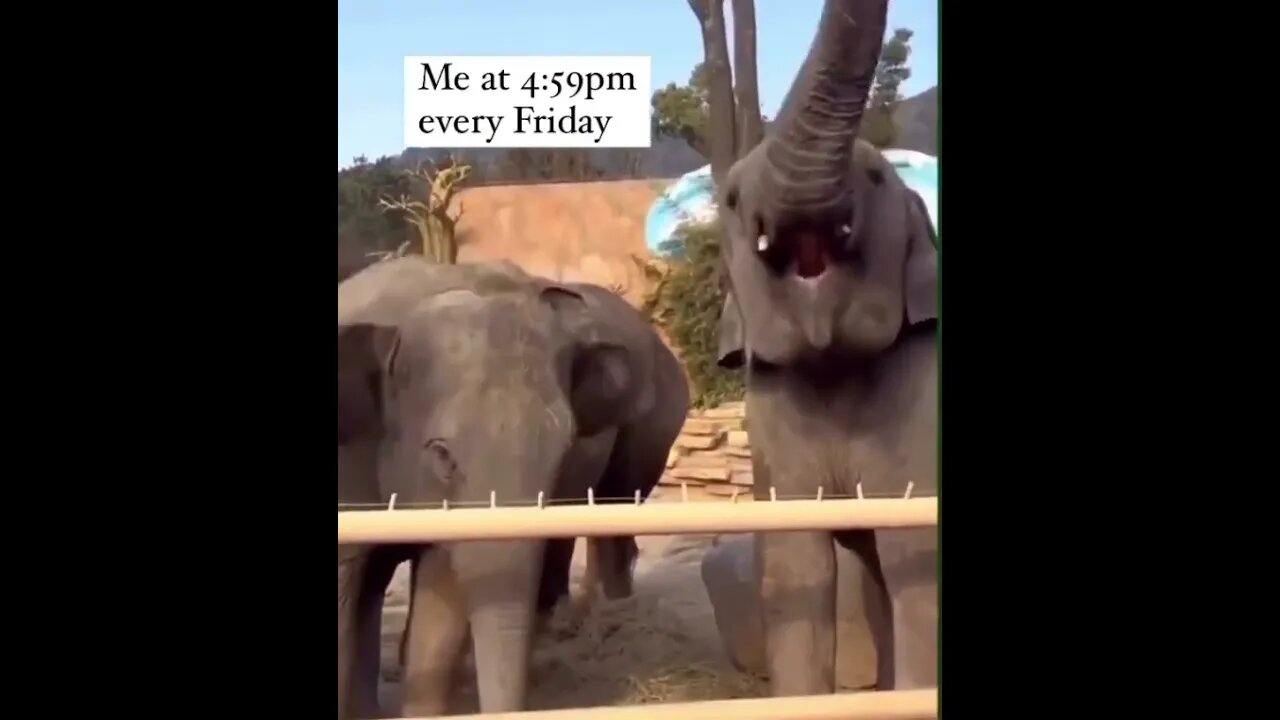 Me At 4.59 on a Friday #Funny