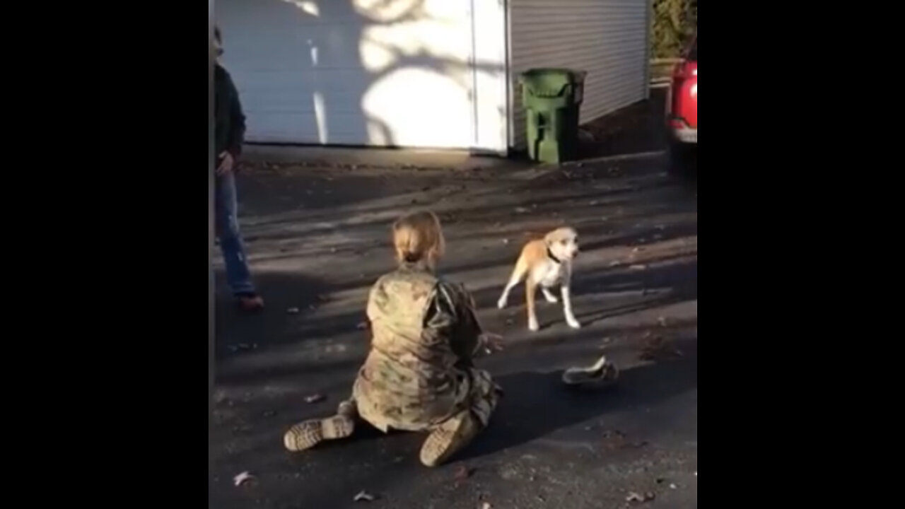 Animals Reunited With Their Owners After Years!