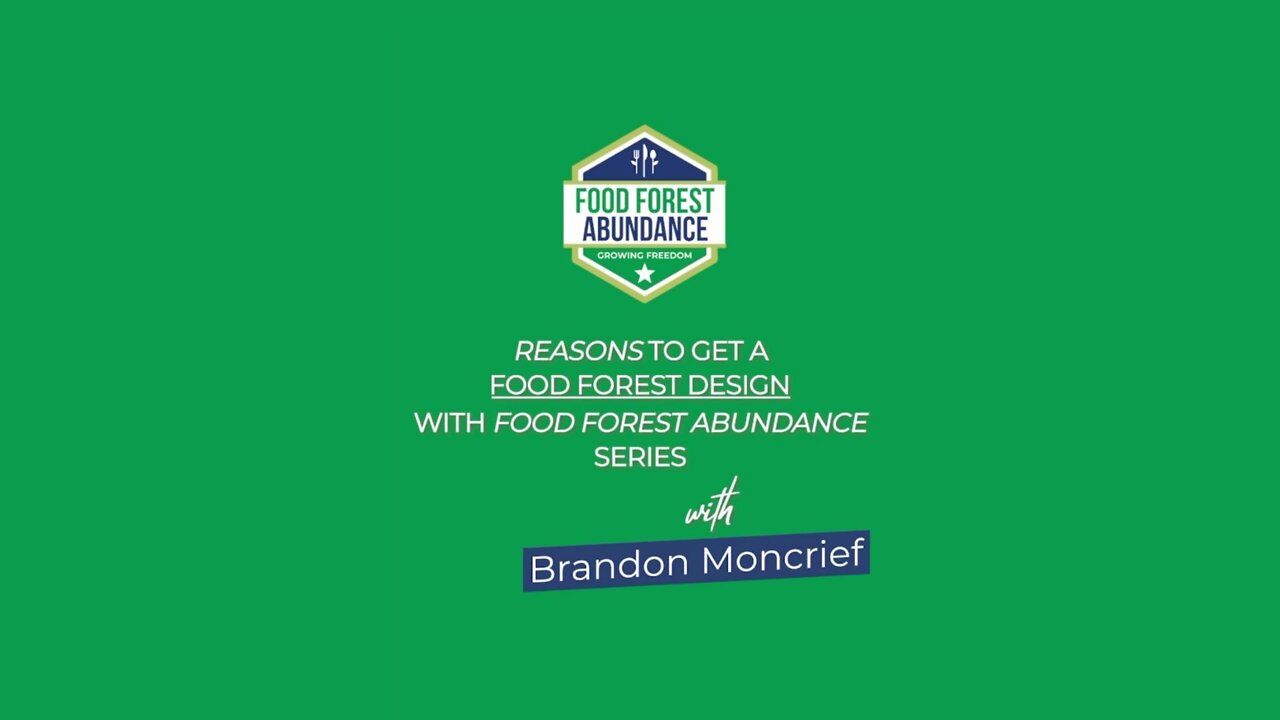 Reason to get a food forest design with Food Forest Abundance: with Brandon Moncrief