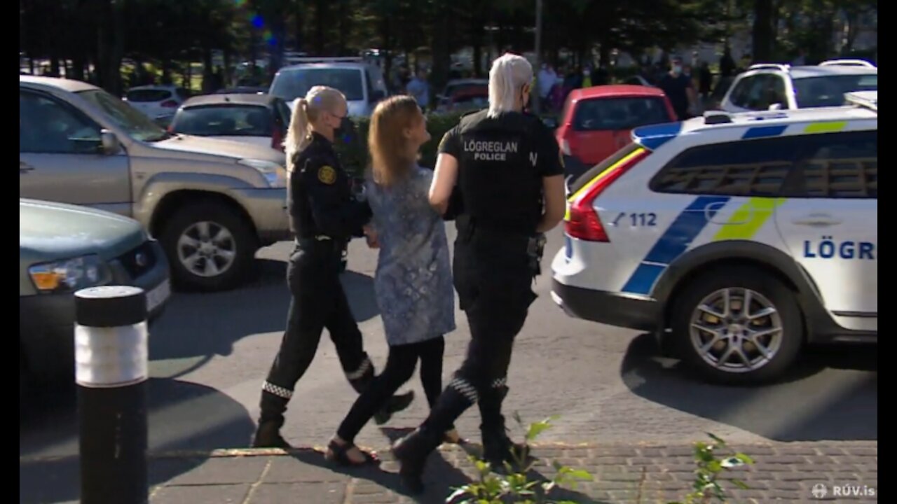 Iceland: Woman arrested after trying to wake up pregnant women standing in line for "vaccination"