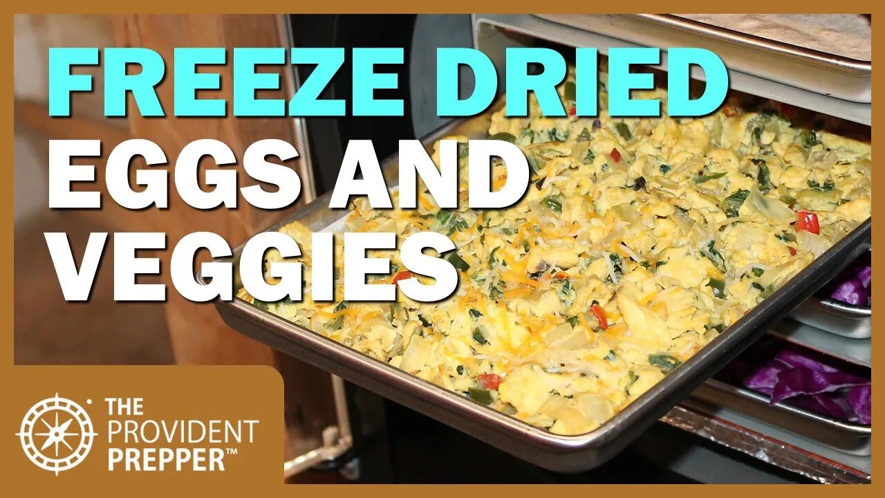 Food Storage: Freeze Dried Scrambled Eggs and Veggies