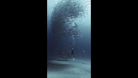 UNDER THE OCEAN 😌🐟🐟