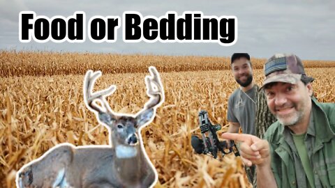 Should you setup on bedding or food during the late season?