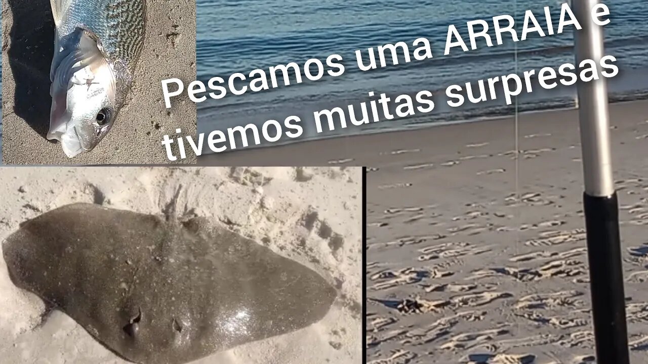 Pescaria na praia de São Francisco, Niterói, RJ. Tivemos muitas surpresas... (06 de julho de 2023)