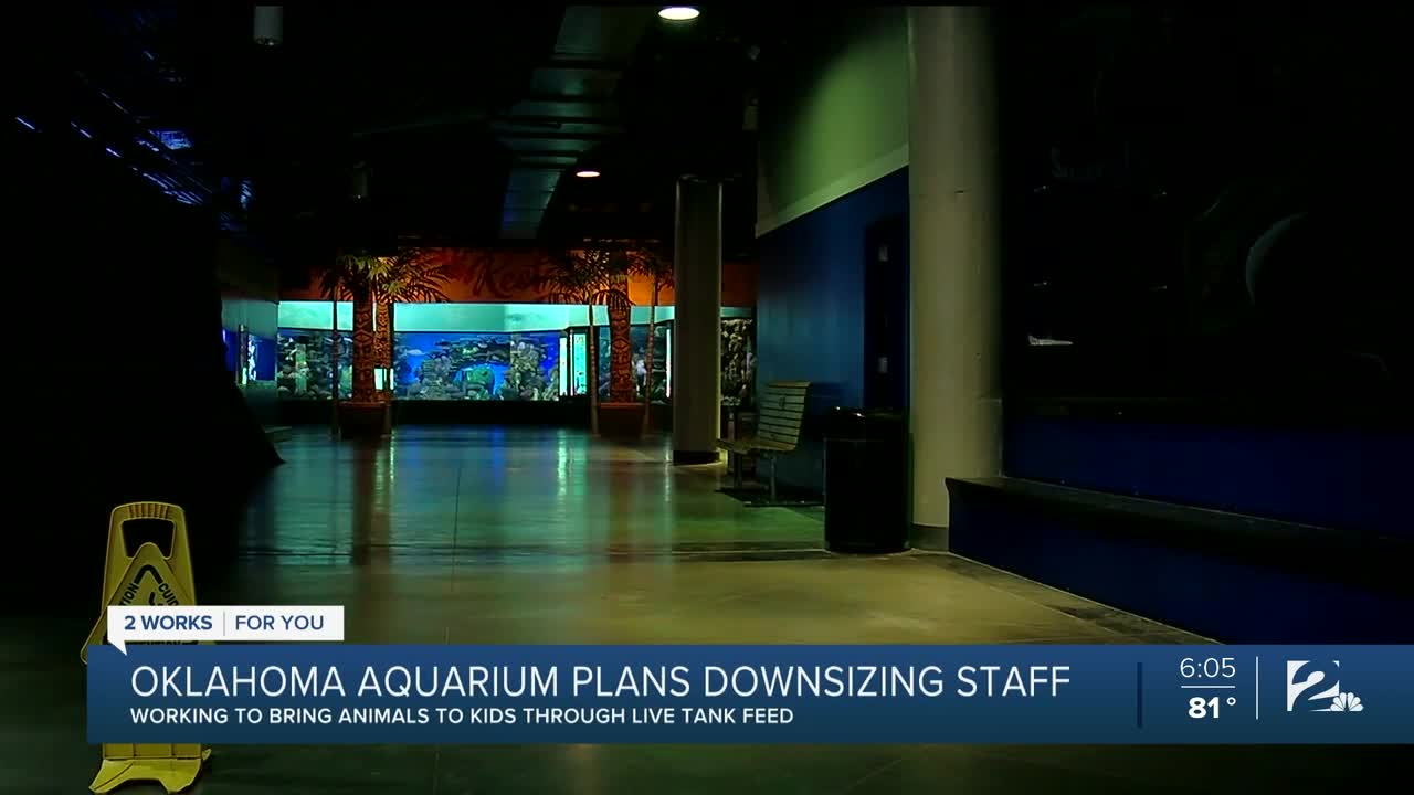 Oklahoma Aquarium Adjusts to COVID-19 Pandemic