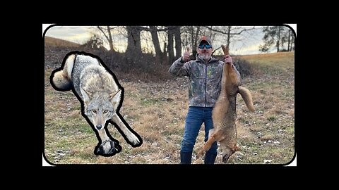 Coyote Trapping Ep.8 December 2023 #coyotes #kentucky