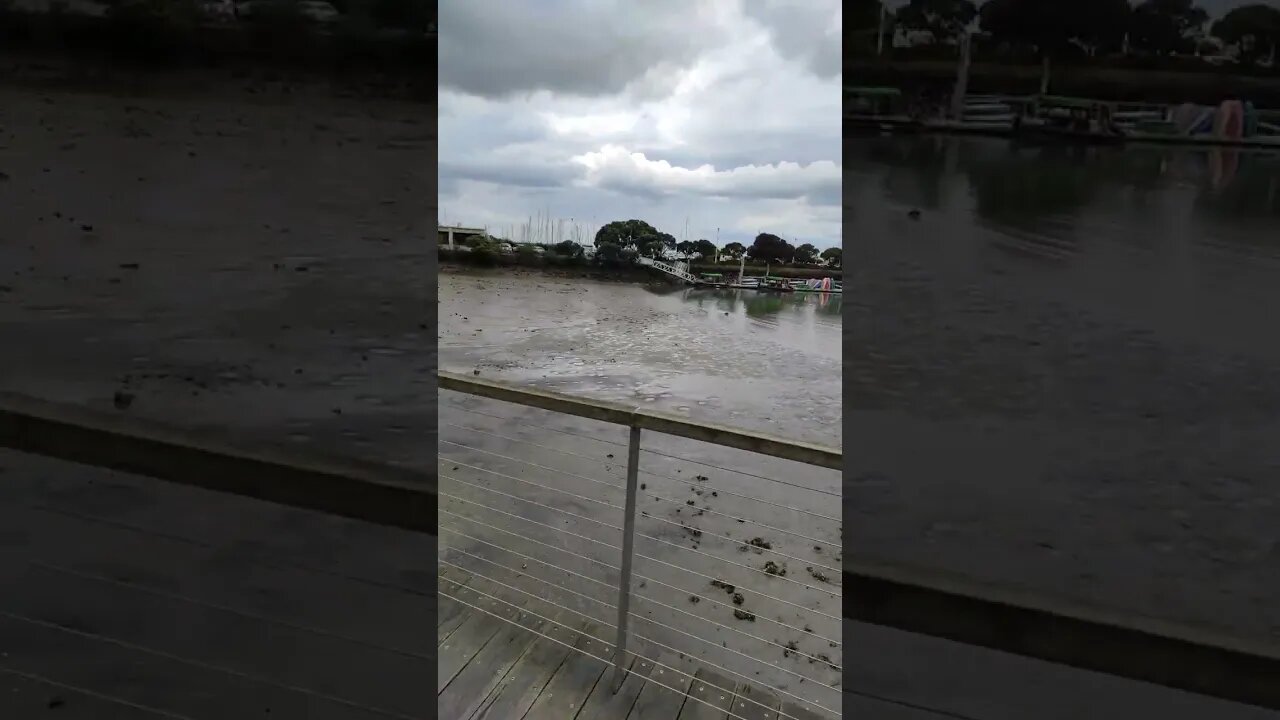 Westhaven marina boardwalk (2)