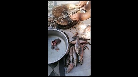 Dola Fish Only in Pakistan