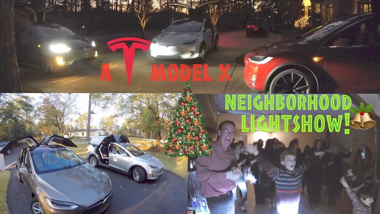 The Model X Brings Out a Crowd!