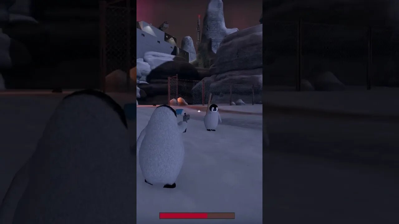 He's Coming Right for Me! - The Greatest Penguin Heist of all Time