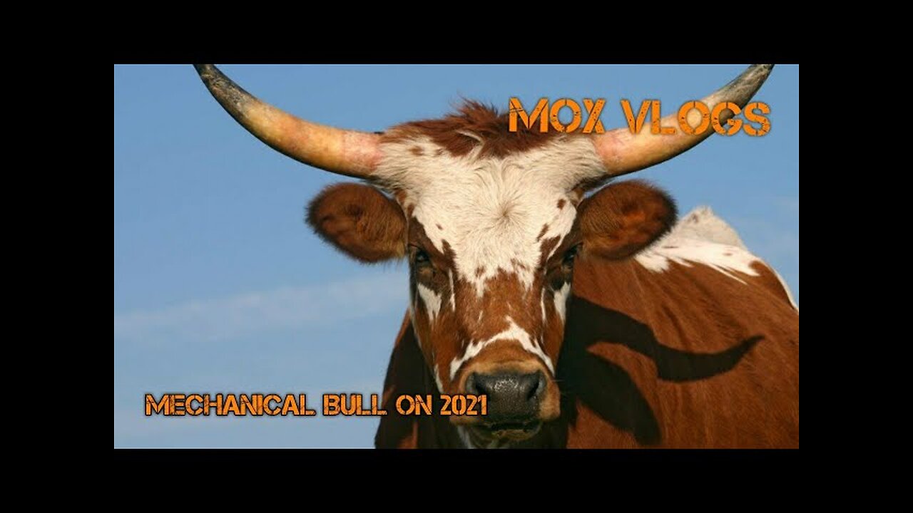 Mox Vlogs[59]- Mechanical Bull on 2021