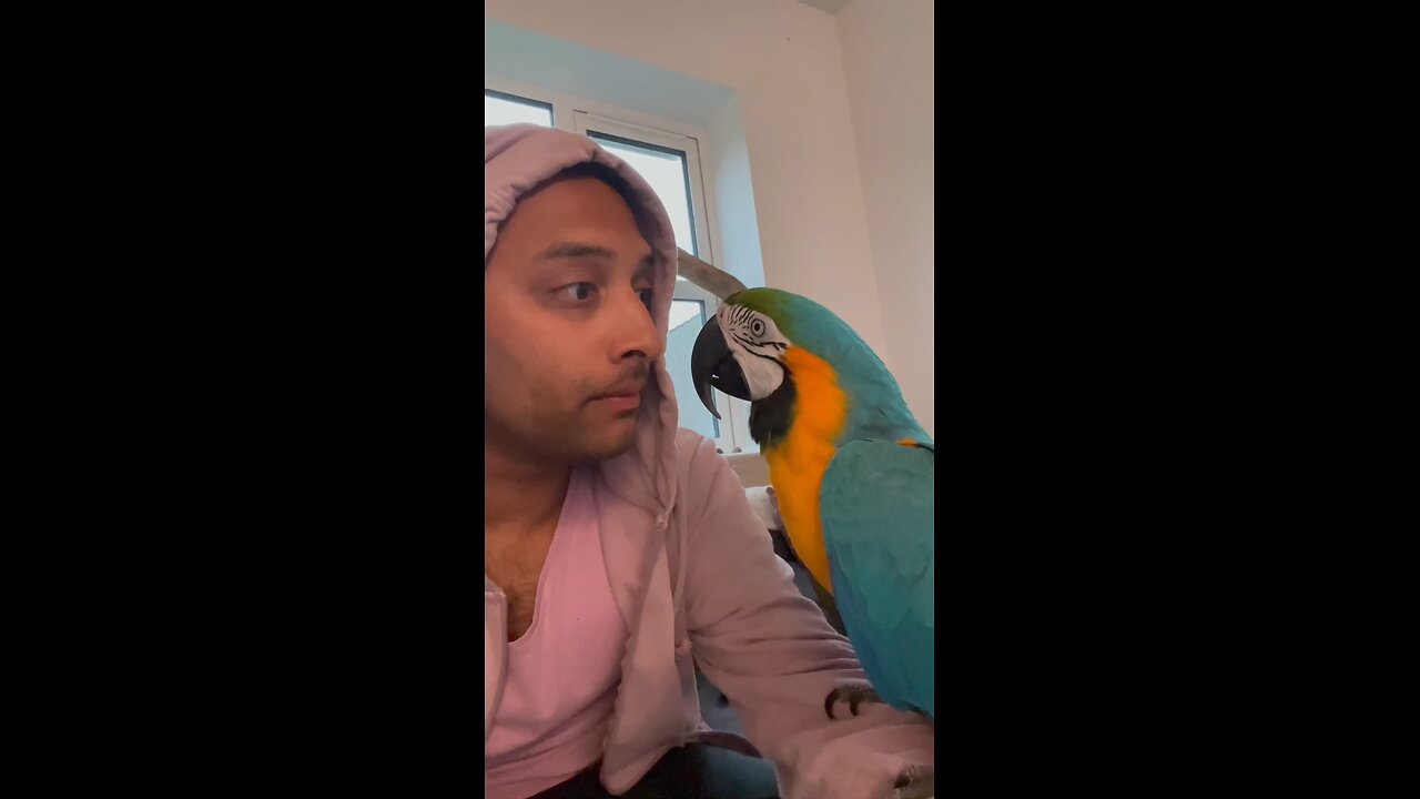 Learning to speech parrot