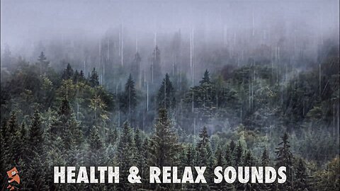 Forest Rainfall Meditation Find Peace and Tranquility in the Soothing Sound of Raindrops