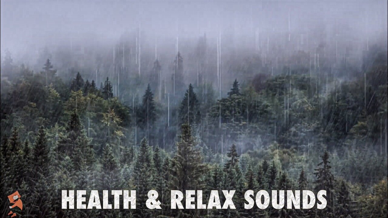 Forest Rainfall Meditation Find Peace and Tranquility in the Soothing Sound of Raindrops