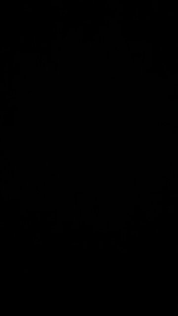 Gold coin collection