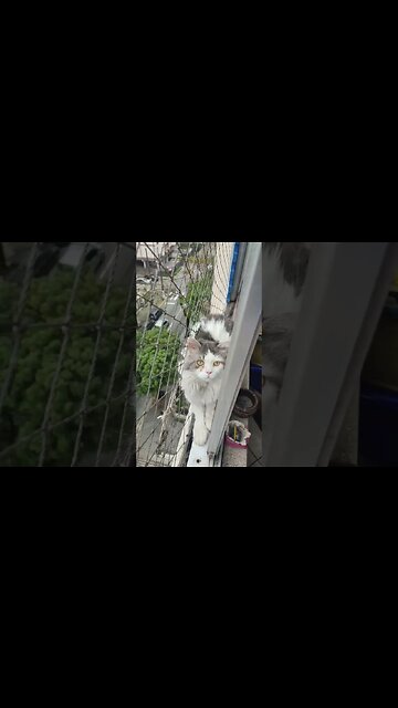 28 de agosto de 2023