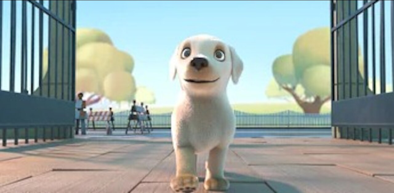 Pip | A Short Animated Film by Southeastern Guide Dogs|