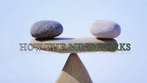 MINDFULNESS VIDEO SERIES (7): HOW THE MIND WORKS