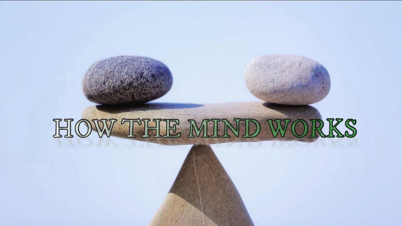 MINDFULNESS VIDEO SERIES (7): HOW THE MIND WORKS