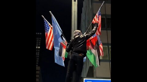 Pro-Hamas Protester Tears Down American Flags in Front of NYPD