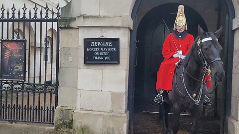 The Horse is just checking out the coat #horseguardsparade