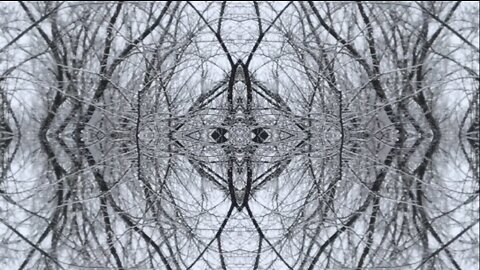Kaleidoscope trees in the snow