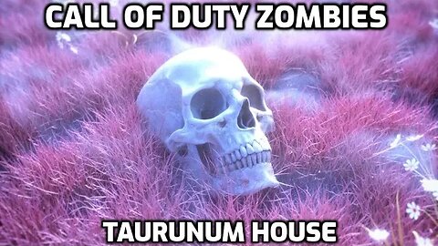 Taurunum House - Call Of Duty Zombies