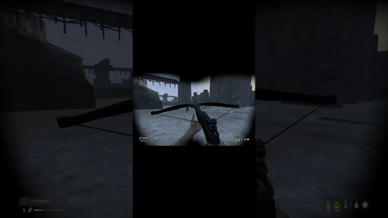 First ever crossbow kill #dayz #dayzgameplay #dayzpvp #dayzbestgamever