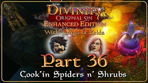 Divinity Original Sin - Part 36